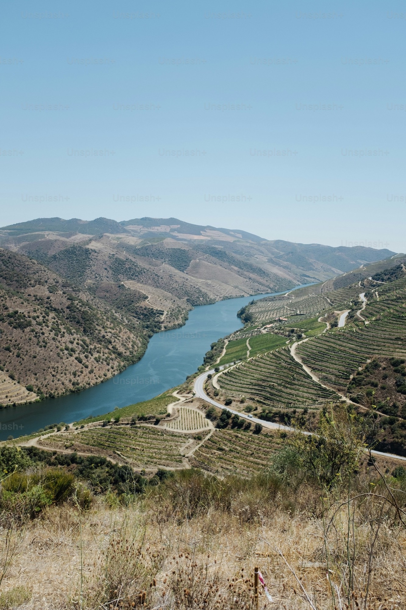 Vinhedos em socalcos do Vale do Douro com o rio a serpentear