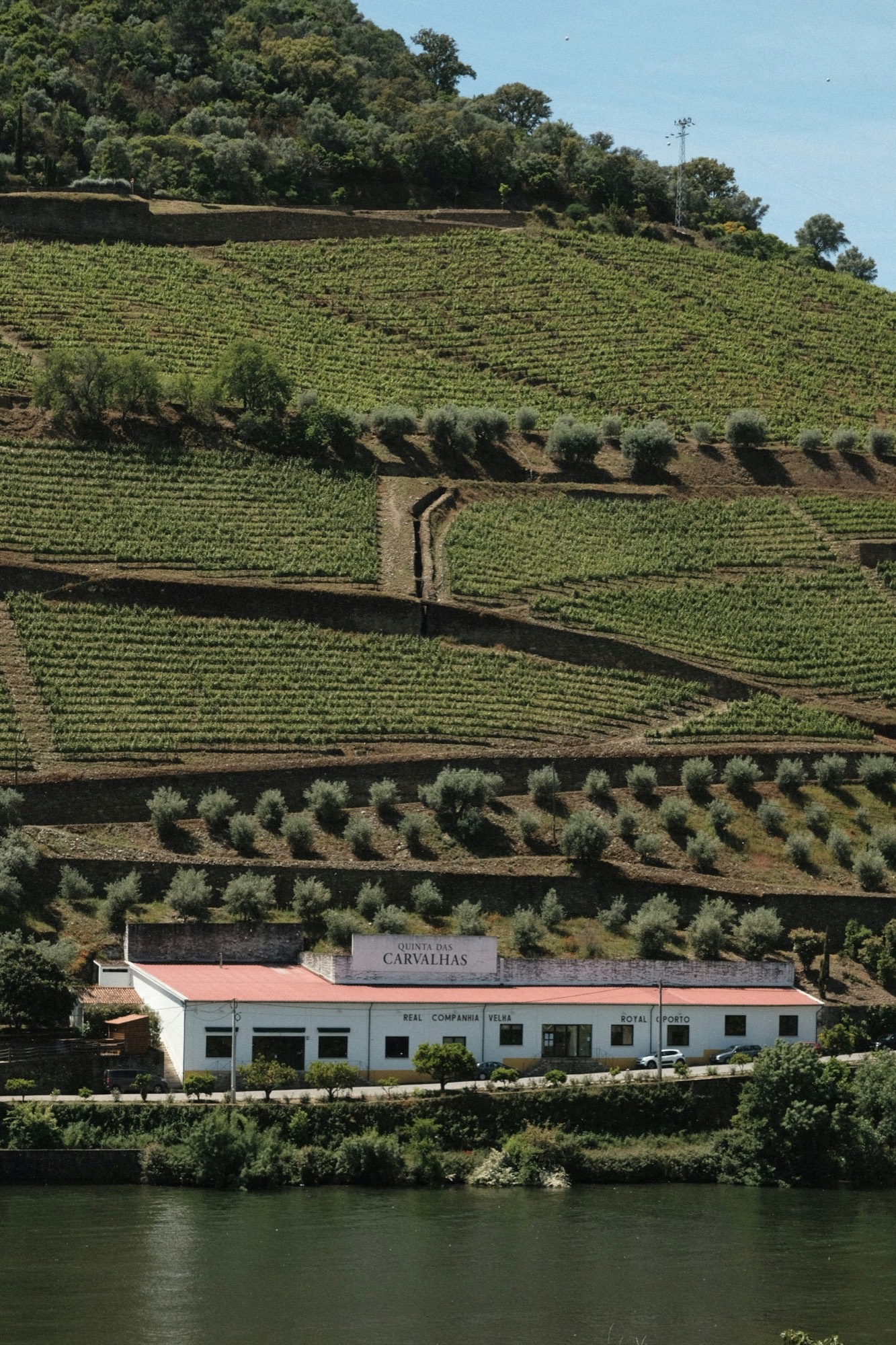 Quinta tradicional do Douro encavalitada na encosta com vinhedos